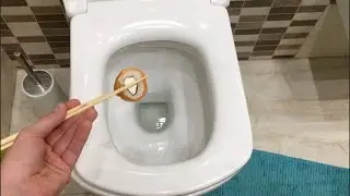 Кормлю унитаз вкусными сушами