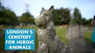 London's Cemetery For Heroic Animals
