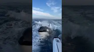 Watch your back! 