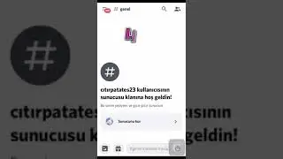 Discord rol ve yetki düzenleme telefon