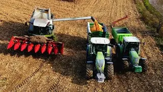 🌽 Koszenie Kukurydzy na Ziarno 2020 ☆ 6x Claas ☆ Lexion, Tucano, Avero, Axion, Arion, Ares