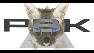 Piro & Bartko & KaeLeS (PBK) - YOLO