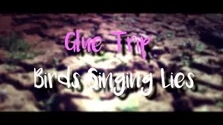 Glue Trip - Birds Singing Lies | (Lyrics - Español)