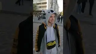 Маффин и новые лисики