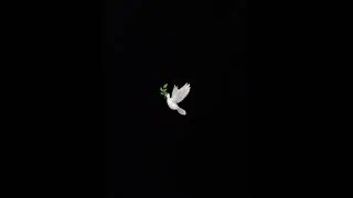 King vers x Prince baby - Motorola (rip prince)