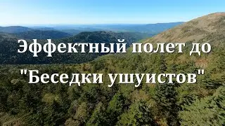 Дайв до 