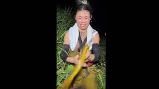 第3天晚上捉鳝鱼