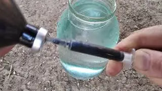 #Ветеринарный