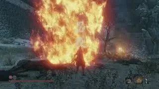 Demon of Hatred - Sekiro: Shadows Die Twice