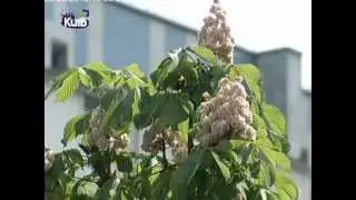 25.05.2013. Зроблено у Києві
