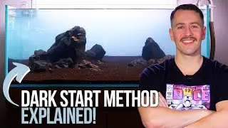 The Dark Start Aquarium - How to Avoid Plant Melt & Algae with the Dark Start Method