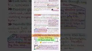 Human Reproduction (Male & Female) Class 12 - Biology Handwritten Notes for NEET 📚| #shorts #biology