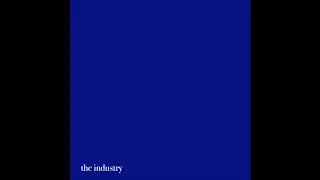 Personal Trainer - The Industry