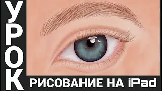Как рисовать на графическом планшете ГЛАЗ. Быстрый старт в Sketchbook