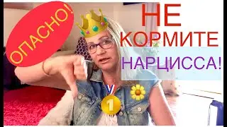 153. НАРЦИССИЗМ и ‘СЕРЫЙ КАМЕНЬ’. Не кормите НАРЦИССА - Не реагируйте эмоциями!