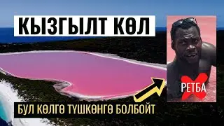 Сенегалдагы туздуу кызгылт көл