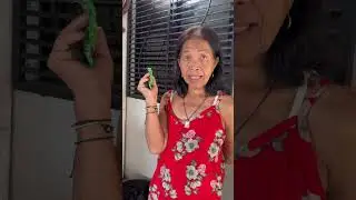 LOLA LABANDERA | THE AGUINALDOS