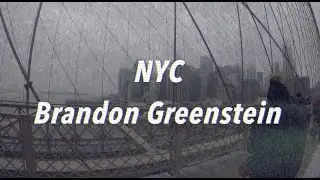 New York 1-20-17