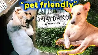 Kilalang Resto Ayaw ASPIN Apology, Nikocado Avocado 🔴 Balitangina