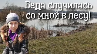 Коп 2020. Поиск старых дорог в лесу
