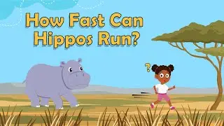 How Fast Can Hippos Run? | Animal Facts for Kids | Hippos Facts | Science Facts For Kids