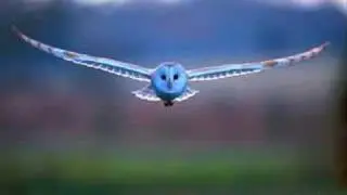 How To Get What You Really Want, Part 10