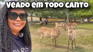 O que Fazer em Nara, Japão