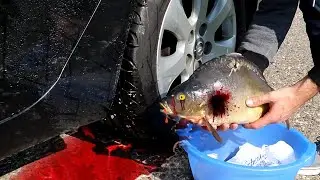 자동차로 바삭 바삭하고 부드러운 것을 분쇄! 실험 자동차 대 오리, 트럭 장난감, 콜라 스프라이트 슬라임 물고기