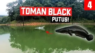 PUTUS toman black! - Royal Belum EP4