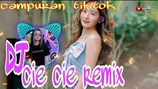 Dj tiktok campuran cie cie mengkane viral 2022/2023