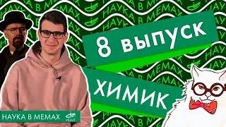Comedy science show «Наука в мемах» | Иван Меренков, научный сотрудник Сколковского института