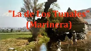 🗻🎼LA DE LOS TUNALES (Marinera)🎼🗻