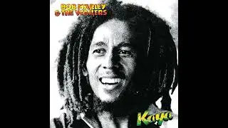 Bob Marley - Sun Is Shining ❤️💛💚