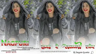 Hai Re Jawani Tor | New Theth Nagpuri song 2024 | Singer Laxman Singh Theth Nagpuri video | song