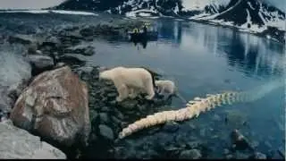 Арктика 3D. Русский трейлер