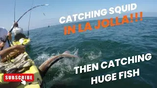 Catching #squid in #lajolla and using it to catch a #hugefish