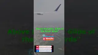 Above Horizons: Glide of the Silver Birds | Above the Clouds Elegant Dance of Airplanes | shorts