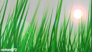 new Wedding Background grass and sun Video Effects 21