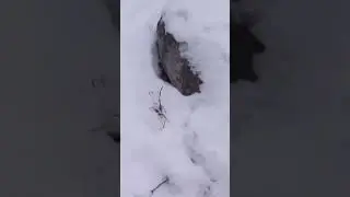 Скалы Кобылья голова.