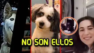 THEY ARE NOT HUMAN | 30 Mimic and Skinwalker Cases 💀