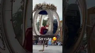 Adorable Moment Between Cinderella & Prince Charming #disneyworld #cinderella #shorts