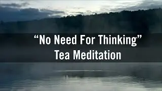 No Need For Thinking