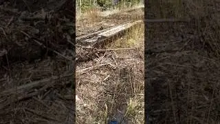 Как таскать опоры ВЛ-110 по болоту????