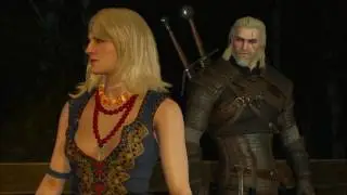 Test geforce GTX 750TI gaming full settings on the Witcher wild hunt 3