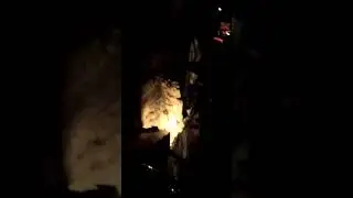 Зима 2016: Рузский Район:Старо-Николаево
