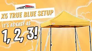 X5 True Blue Setup - It's as Easy as 1, 2, 3!