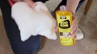 Goo Gone Adhesive Remover  16:9