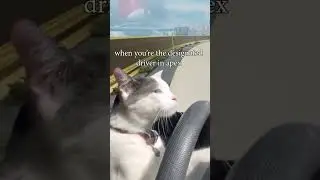 when you're the designated driver in apex