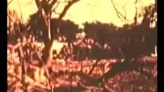 3-March-1971 Liberation war of Bangladesh (2)