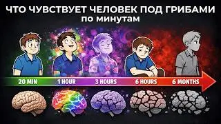 ЧТО ПРОИСХОДИТ С ТВОИМ МОЗГОМ ПОД ГРИБАМИ — ПО МИНУТАМ